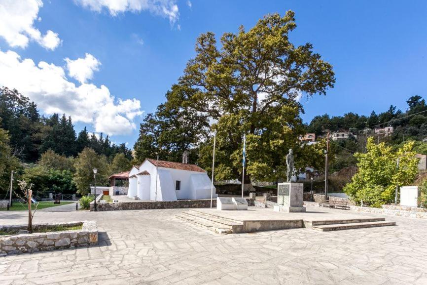 Ifigenia Theriso Village Thérison 외부 사진